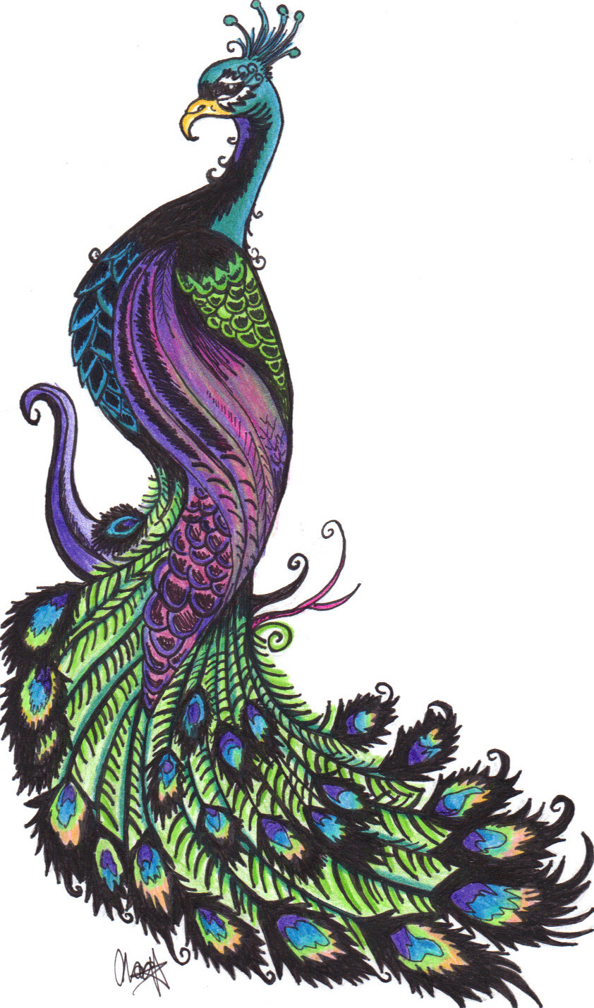 Art: Peacock
