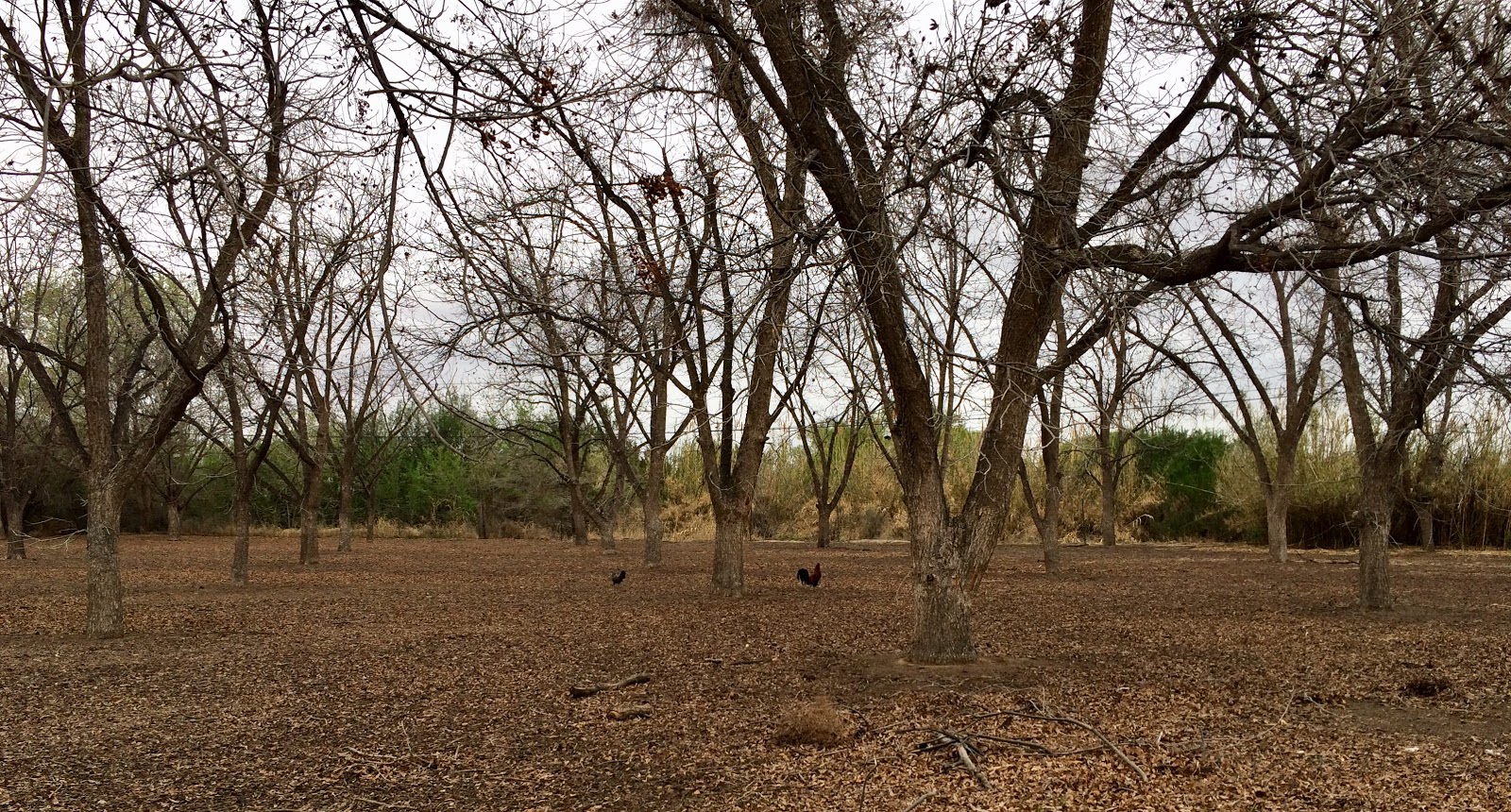 El Paso, TX to Sierra Blanca, TX