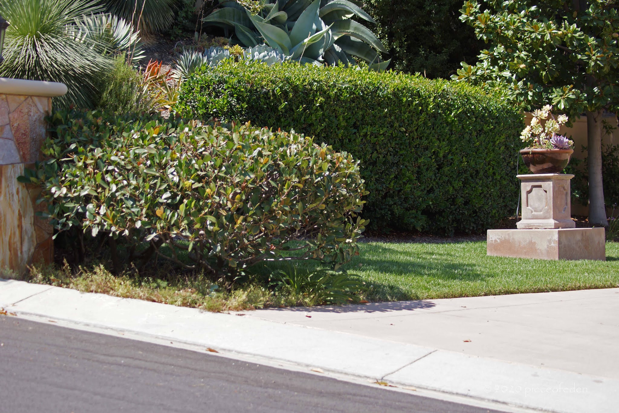 What Is A "Low Maintenance" Garden?