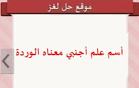 أسم علم أجنبي أسم علم أجنبي