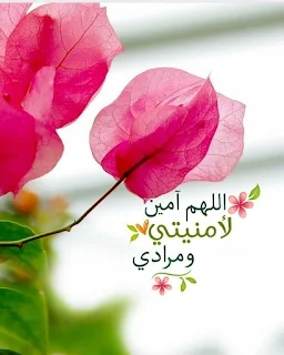 رمزيات دينية إسلامية و ادعية مكتوبة ادعية دينية جميلة مكتوبة , أدعية جميلة وقصيرة ,ادعية دينية مكتوبة بالتشكيل,ادعية جميلة بالصور,أدعية جميلة,ادعية اسلامية جميلة,ادعية دينية جميلة,رمزيات ادعية, ادعية اسلامية جميلة ,دعاء الفرج والهم بالصور, ادعية دينية جميلة مكتوبة , اجمل الدعاء بالصور, ادعية الفرج بالصور ,ادعية مصورة جميلة,ادعية للاحباب بالصور,ادعية للفيس بالصور,