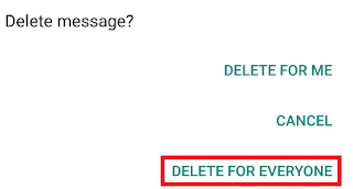 Whatsapp Message delete 