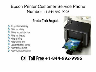 Epson Printer Support Phone Number 