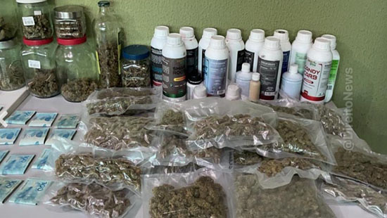 juiz jovem ludibriou justica medicinal maconha juiz jovem ludibriou justica medicinal maconha