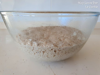 Masa del pan integral de centeno tras la fermentación