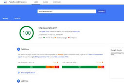 Cara menguji kecepatan website atau blog di pagespeed Insights
