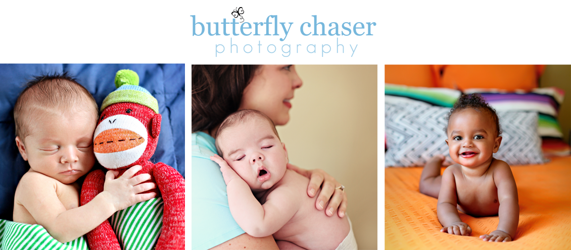Butterfly Chaser Photography