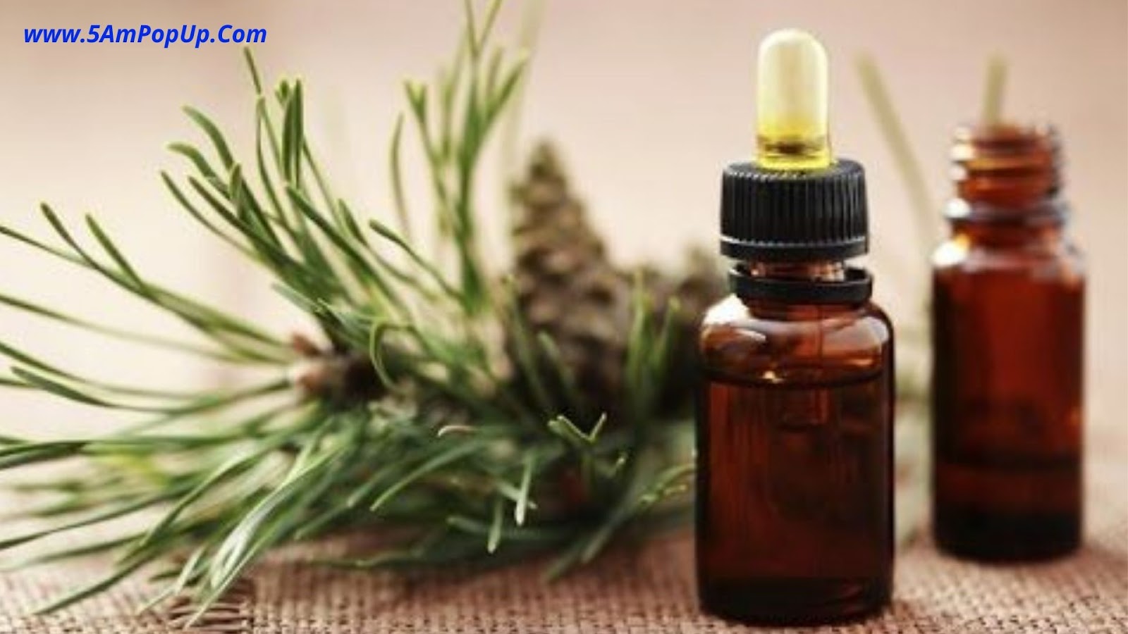 10 Best Oils To Relieve Cough And Cold In Hindi