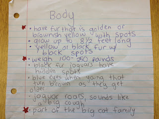 Second Grade Style: Nonfiction Writing