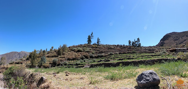 Ruinas de Tiknay cotahuasi