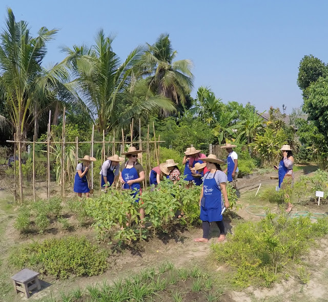 Thai Secret Cooking Class Photos & Video. March 7-2017. Pa Phai, San Sai District, Chiang Mai, Thailand.