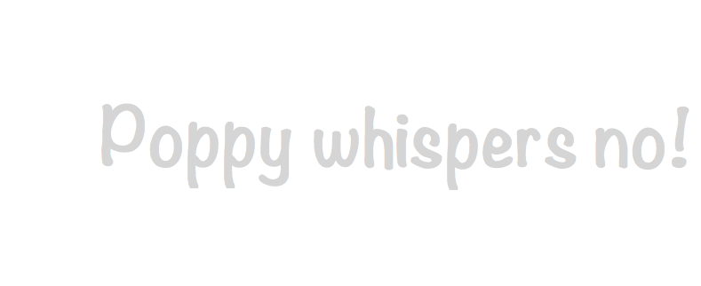 Poppy Whispers No