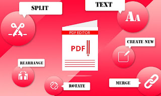 PDF Editabile