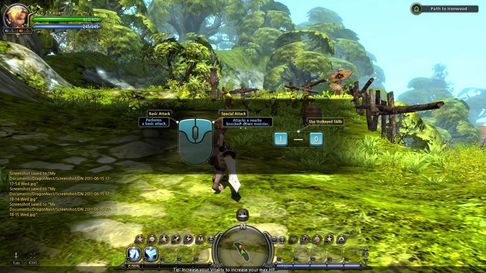 free download dragon nest game free download dragon nest game