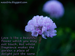 quotes flower nature background nice definition wallpapers cool