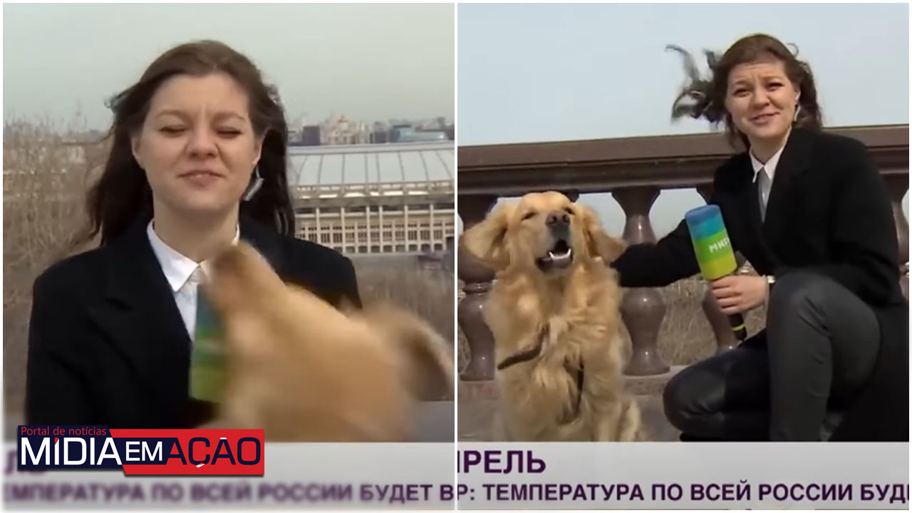 Cão rouba microfone de repórter em link ao vivo na Rússia; vídeo viraliza nas rede