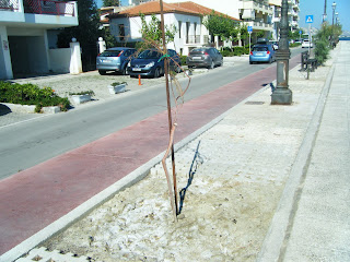 DSCF0682