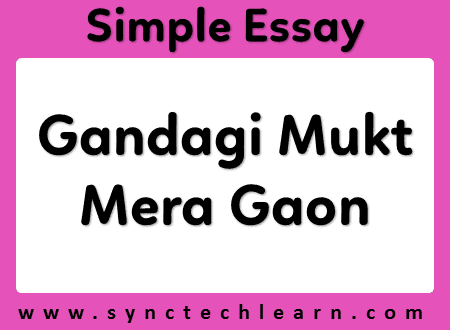 Gandagi Mukt Mera Gaon essay
