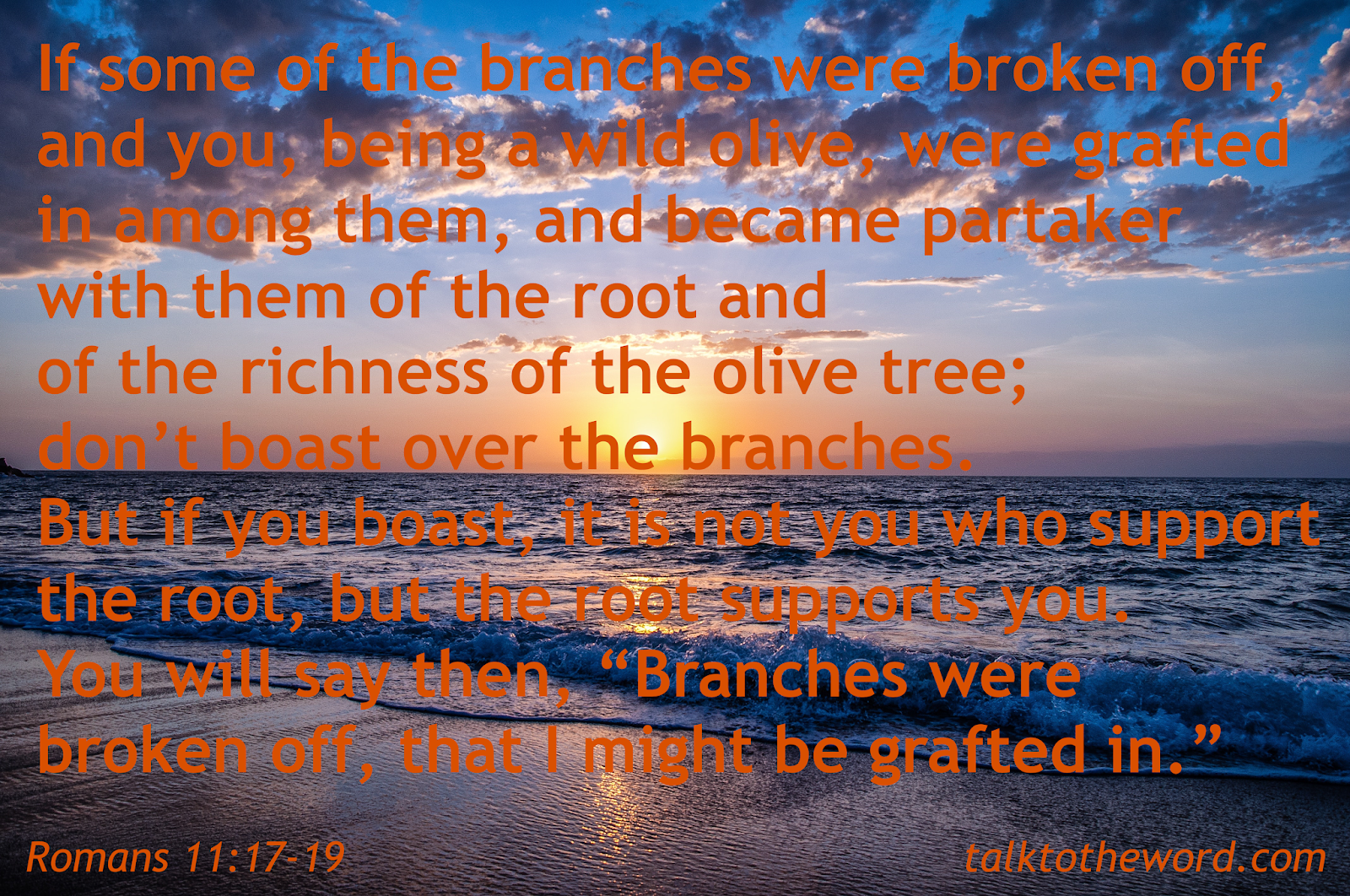 Romans 11 16 21 romans-11-16-21