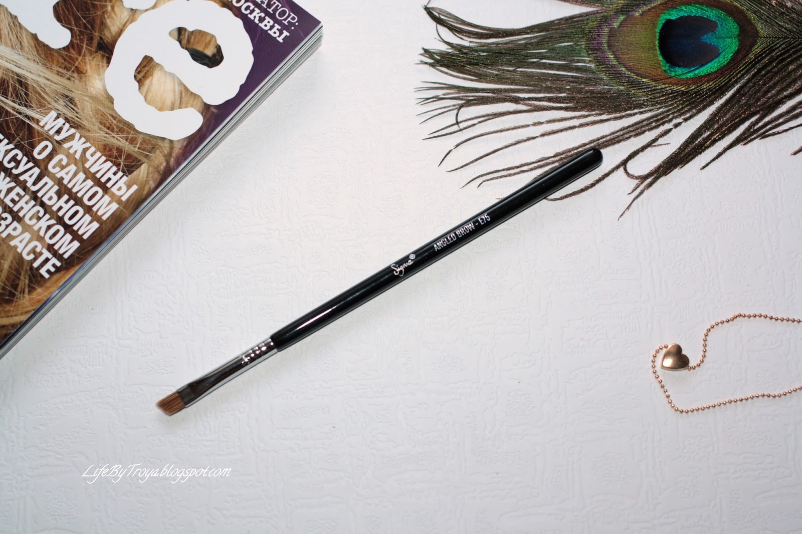 Review Sigma Flat Kabuki Brush F80, Winged Eyeliner Brush E06, Angled