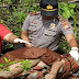Warga Pujud-Rohil Temukan Mayat Wanita Tanpa Busana Dalam Parit