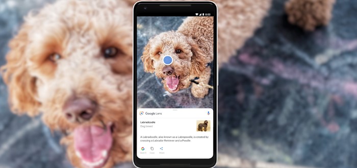 Google LENS Google LENS