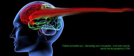 Vũ khí điện từ kiểm soát não: Biến đổi hành vi và nhân cách con người 18_mh1394