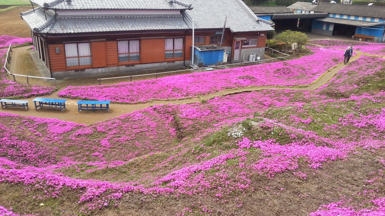なぜ私たちは悲しい音楽を聴くのでしょうか?