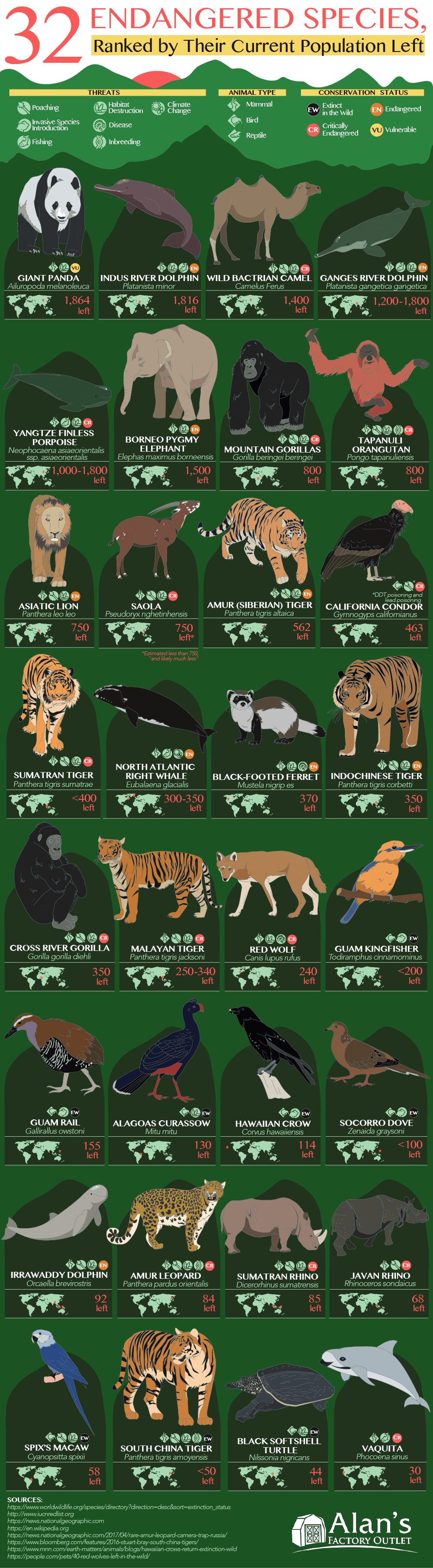 32 Animals That Are Going to Be Extinct Soon (Endangered Species Ranked