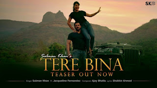 tere bina lyrics in english