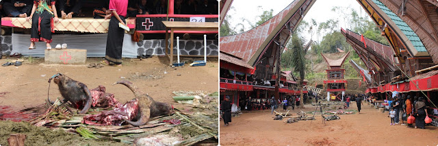 Día 11 - 27 Nov. Rantepao "Tana Toraja" (Funeral Toraja y Kete Kesu) - Indonesia en 23 días, Nov-Dic 2012 (9)