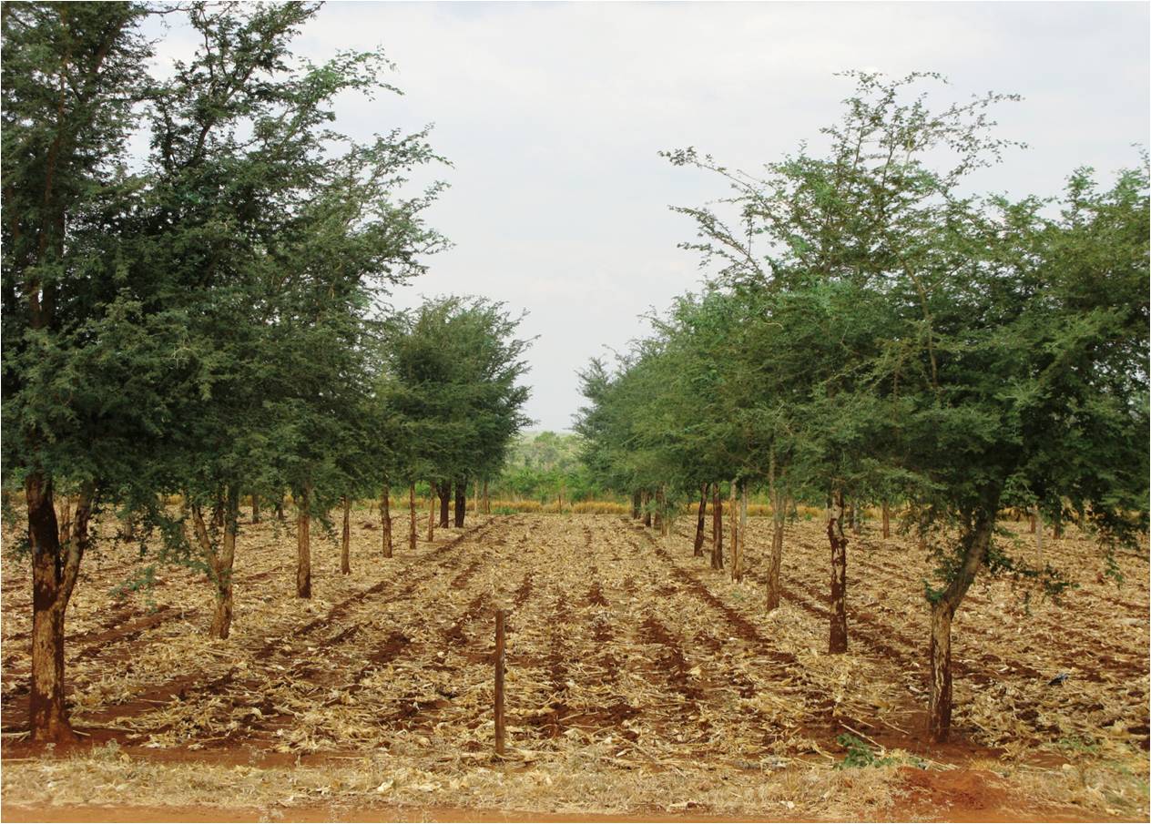 “The important thing is not to stop questioning.”: How is net gain of ...