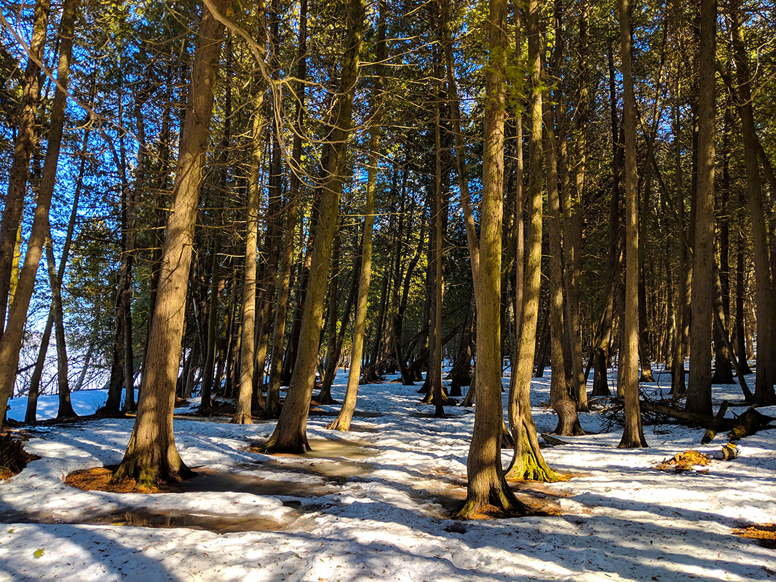 Snowshoeing Peninsula State Park in Door County