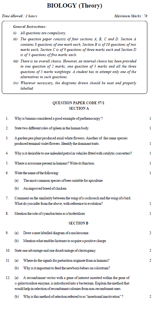Ncert grade 9 english question paper picture