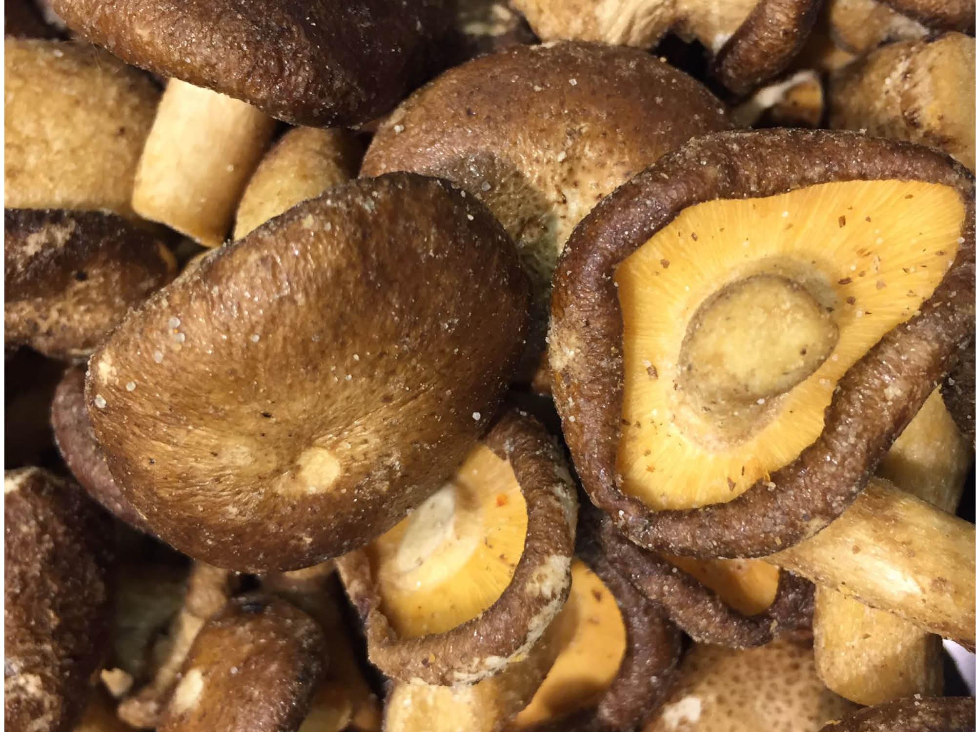 Shiitake Chips Nuts About Nuts