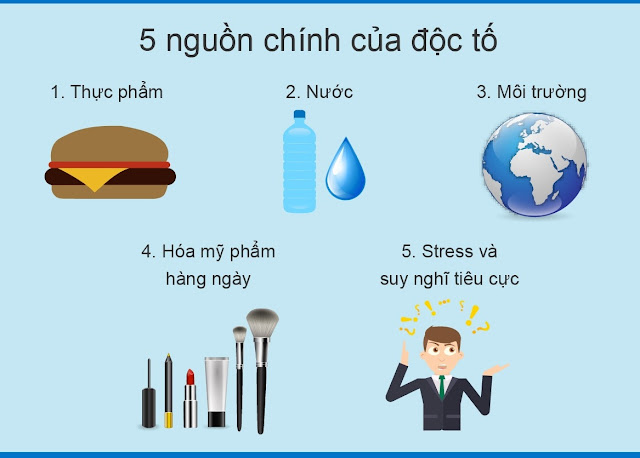 Thanh lọc và giải độc cho cơ thể sẽ giúp tăng cân hiệu quả Thanh lọc và giải độc cho cơ thể sẽ giúp tăng cân hiệu quả