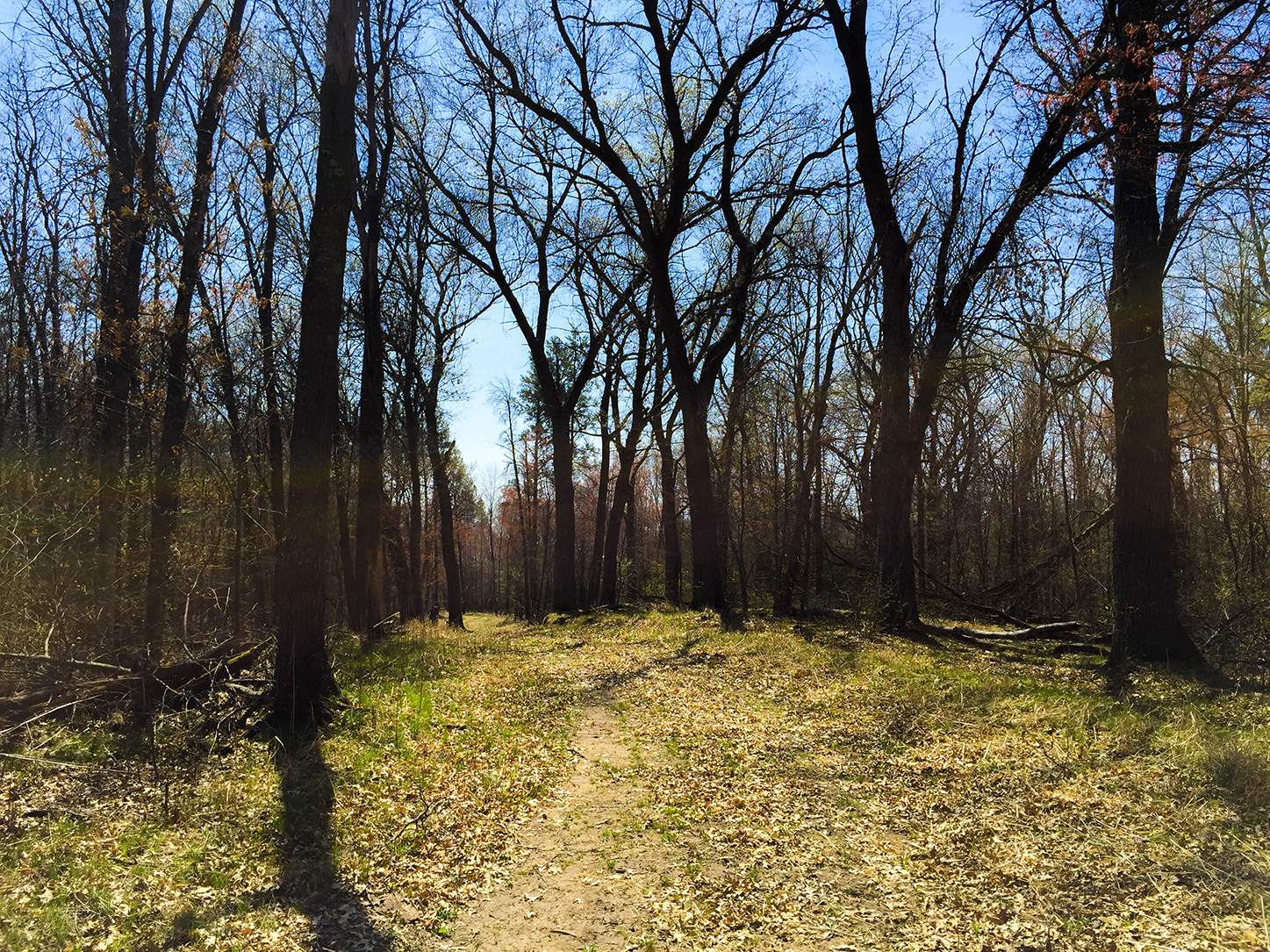 Trail to Lone Rock at Quincy Bluff State Natural Area