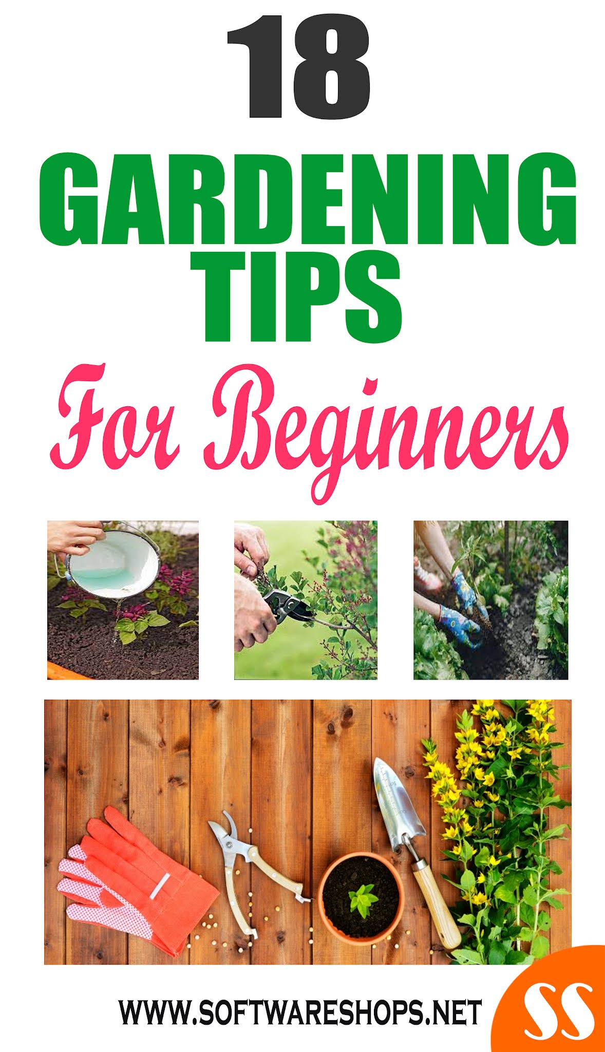 18 gardening tips for beginners