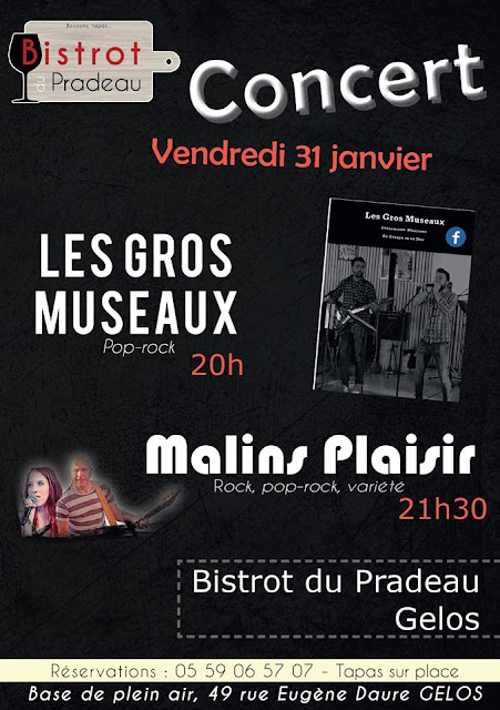 Les Gros Museaux et Malins Plaisir en concert Gelos 2020
