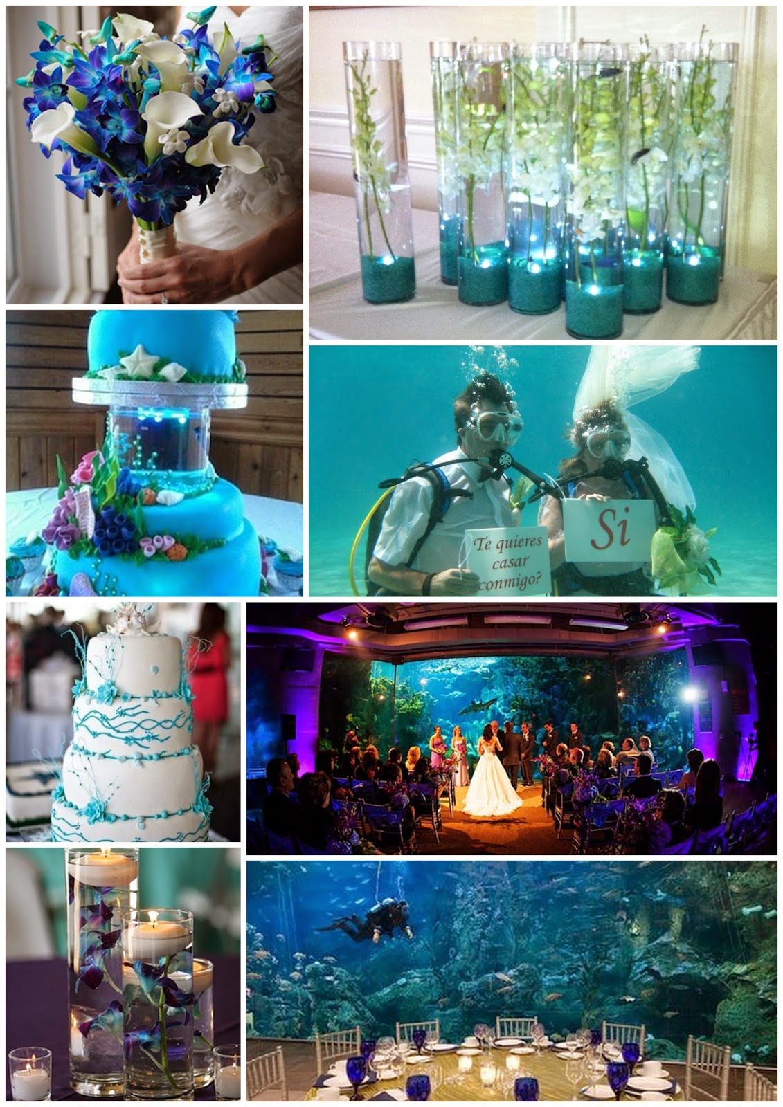 acquac+theme+wedding