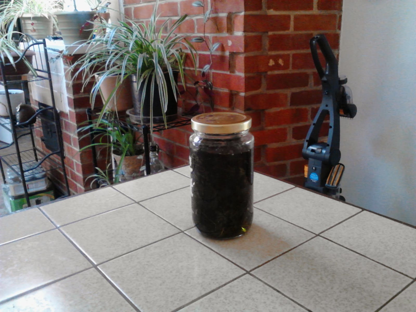 Witchy Widow's Wanderings Using Fresh HerbsInfusing Oils