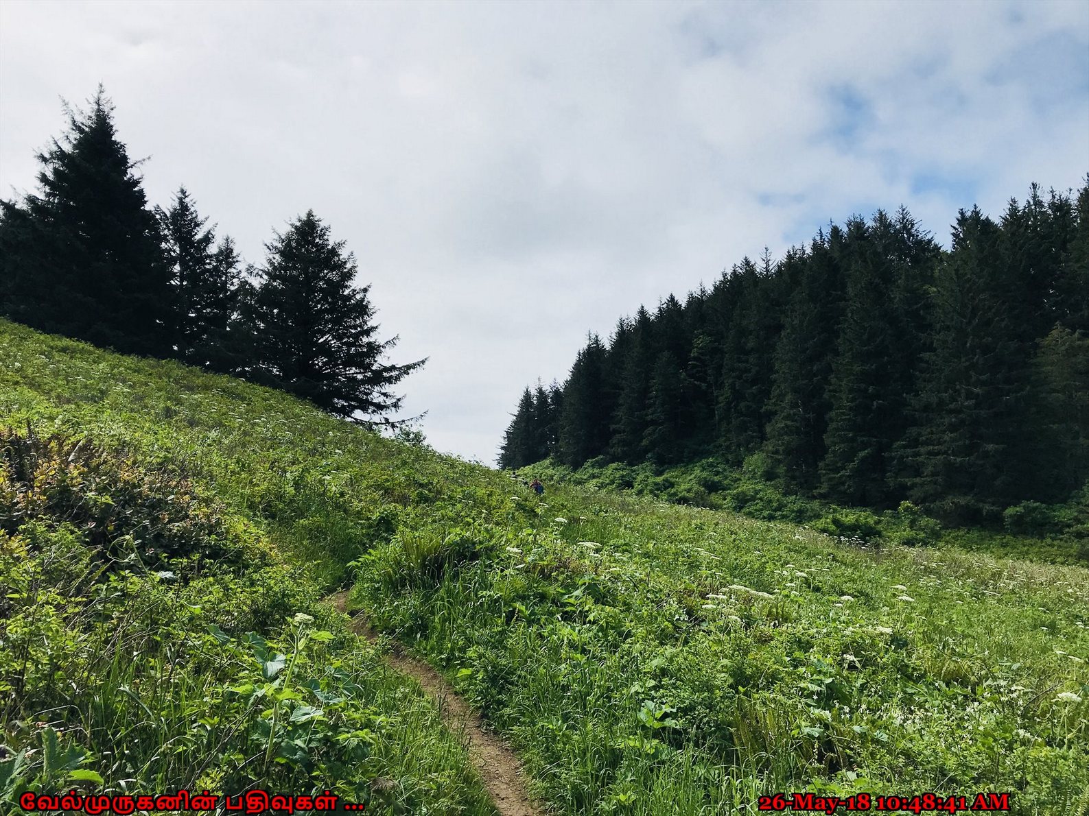 Elk Flats Trail Oregon Exploring My Life