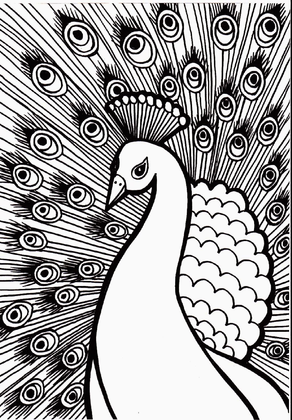 Peacock Coloring Pages For Kids Free Coloring Pages