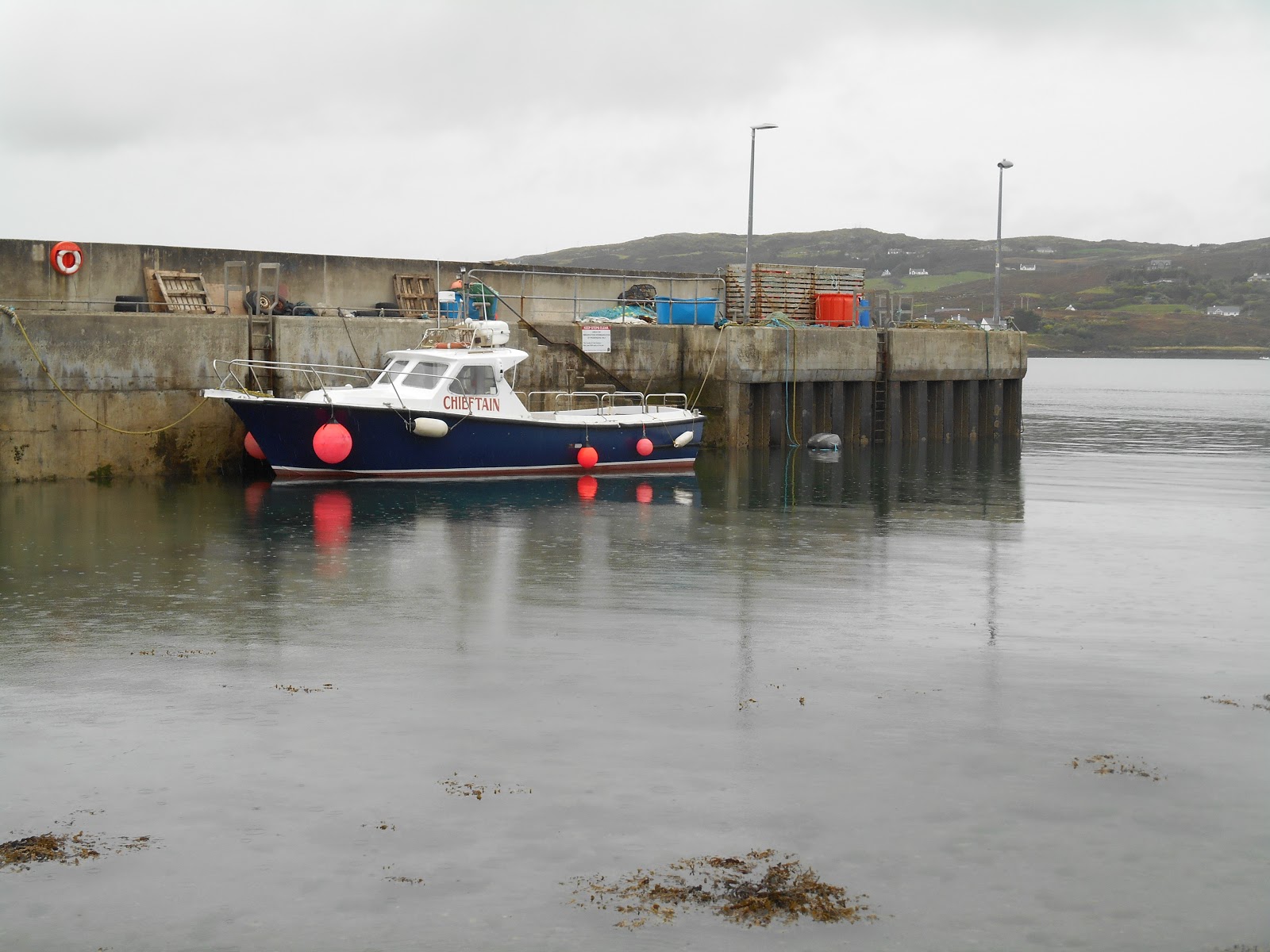 A lifetime of Islands Island 346 Long Island, County Cork