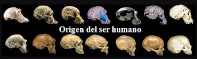 Origen del ser humano