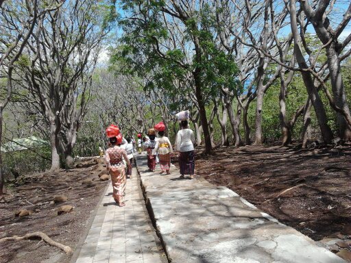 Taman Nasional Bali Barat Wayan Suyasa