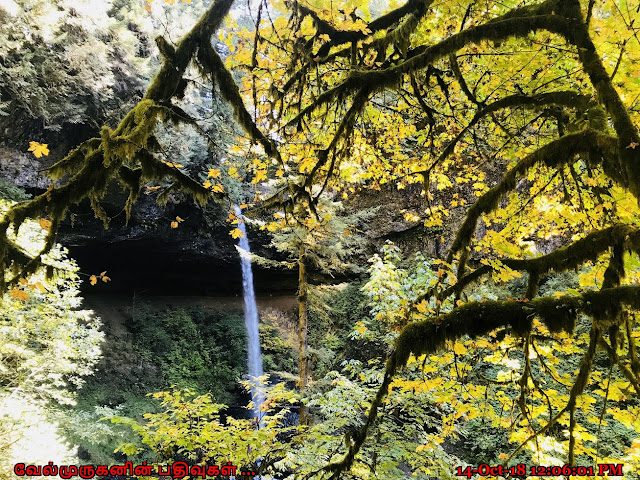 North Falls in Trail of Ten Falls Oregon