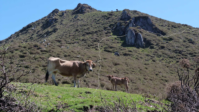 Majada La Muezca - Piloña Majada La Muezca - Piloña