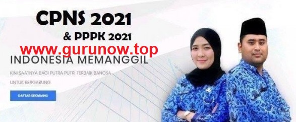 CPNS/PPPK Kabupaten Pandeglang Tahun 2021 Guru NOW CPNS/PPPK Kabupaten Pandeglang Tahun 2021 Guru NOW