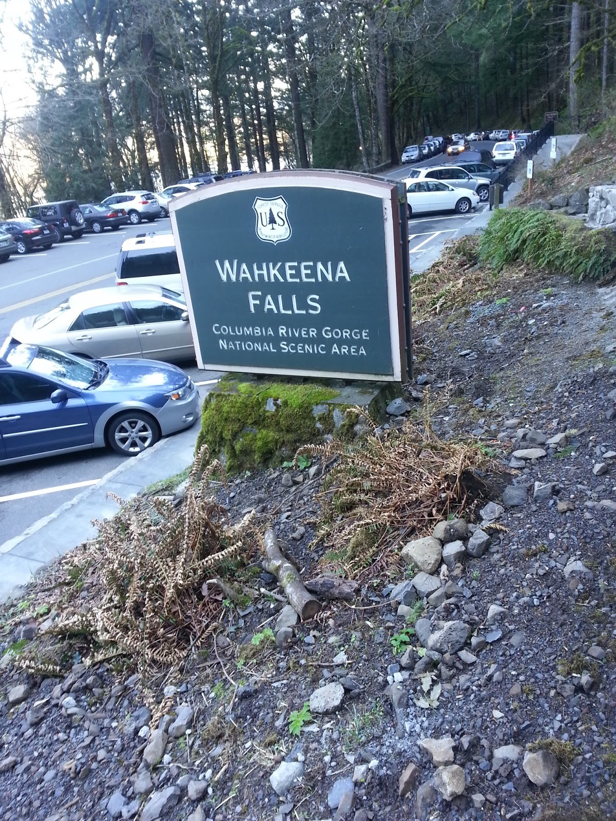 Wahkeena Falls The Gorge